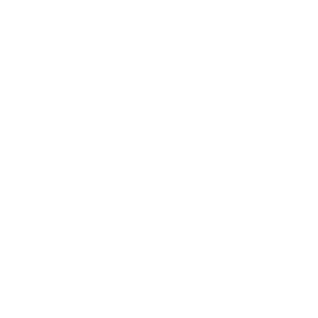 TopNotch.png