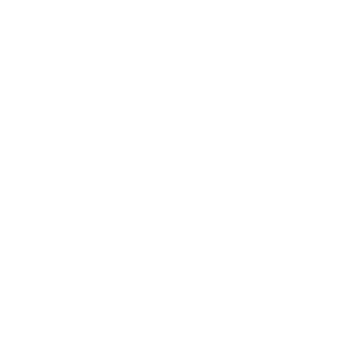 DUBAIHOLDING