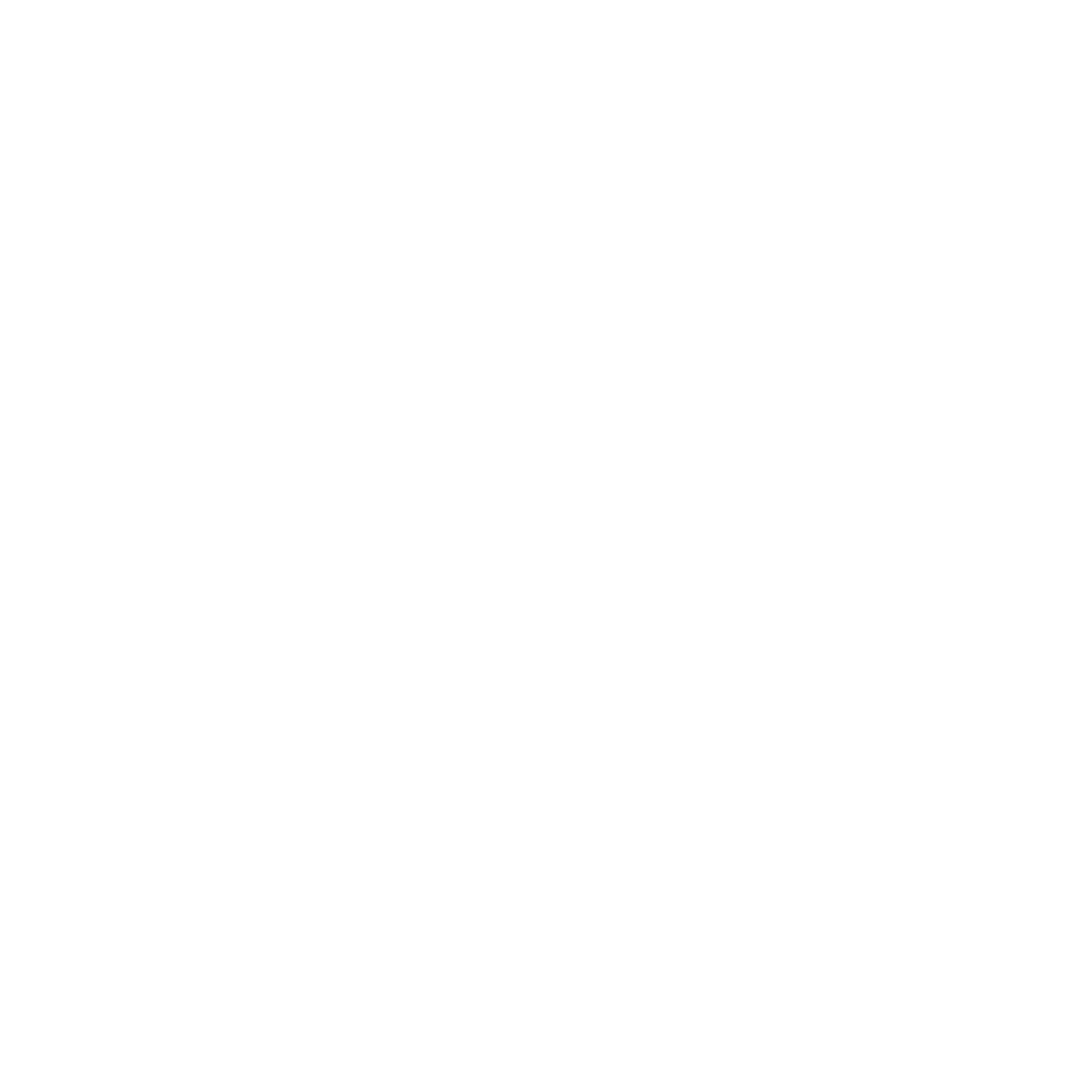 MANSORY